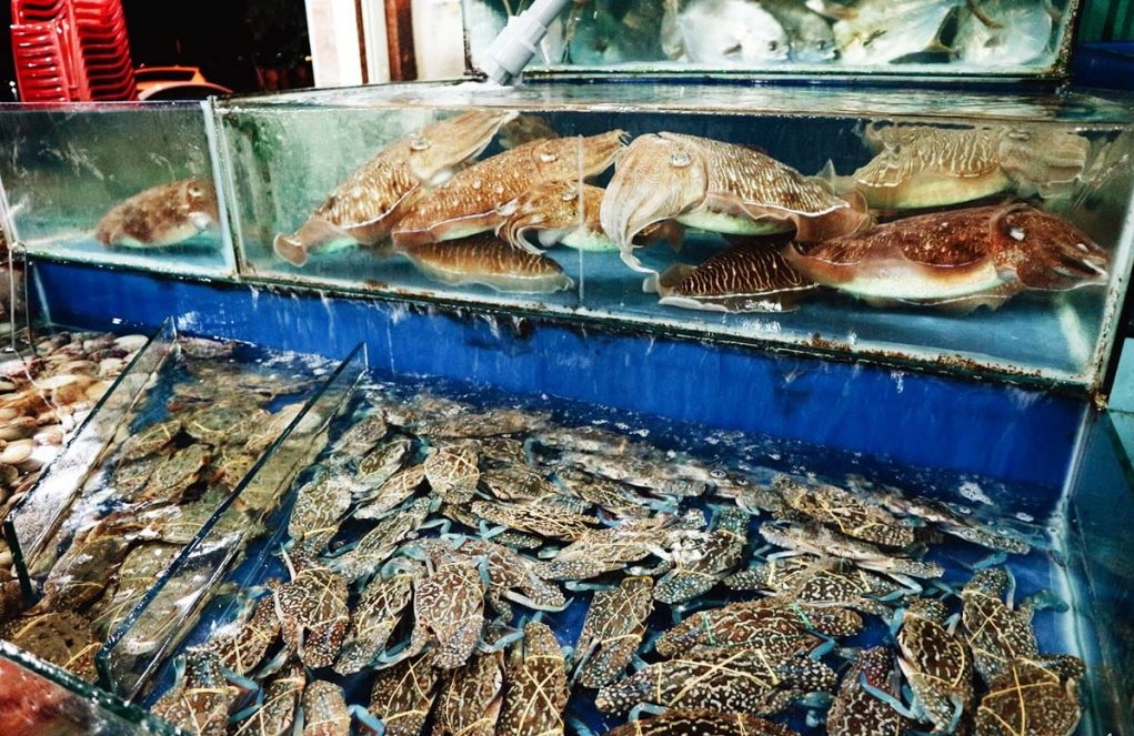 Quầy trưng bày hải sản